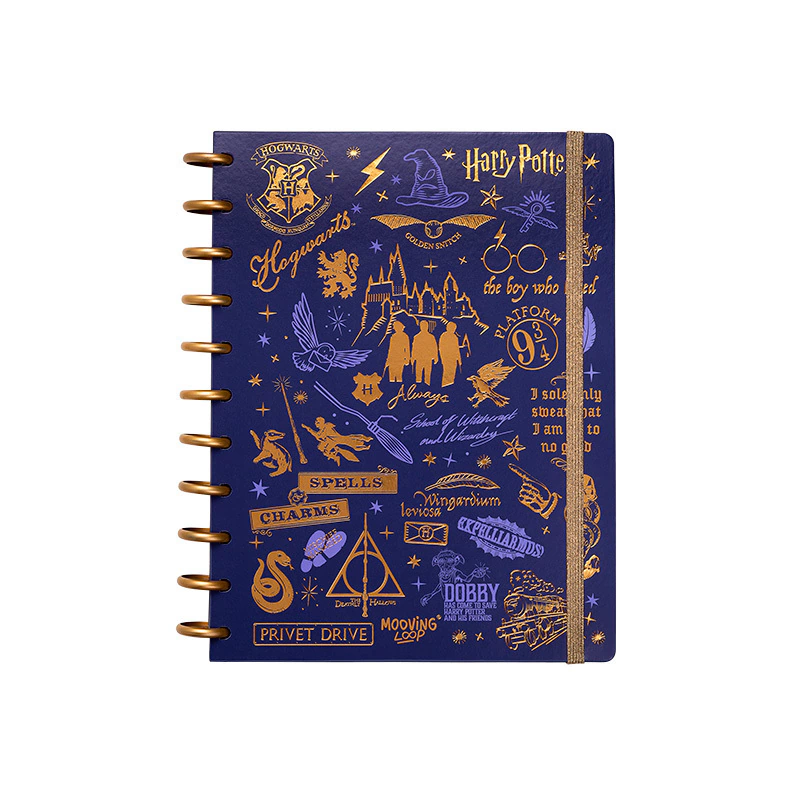 MOOVING LOOP CARTA HARRY POTTER
